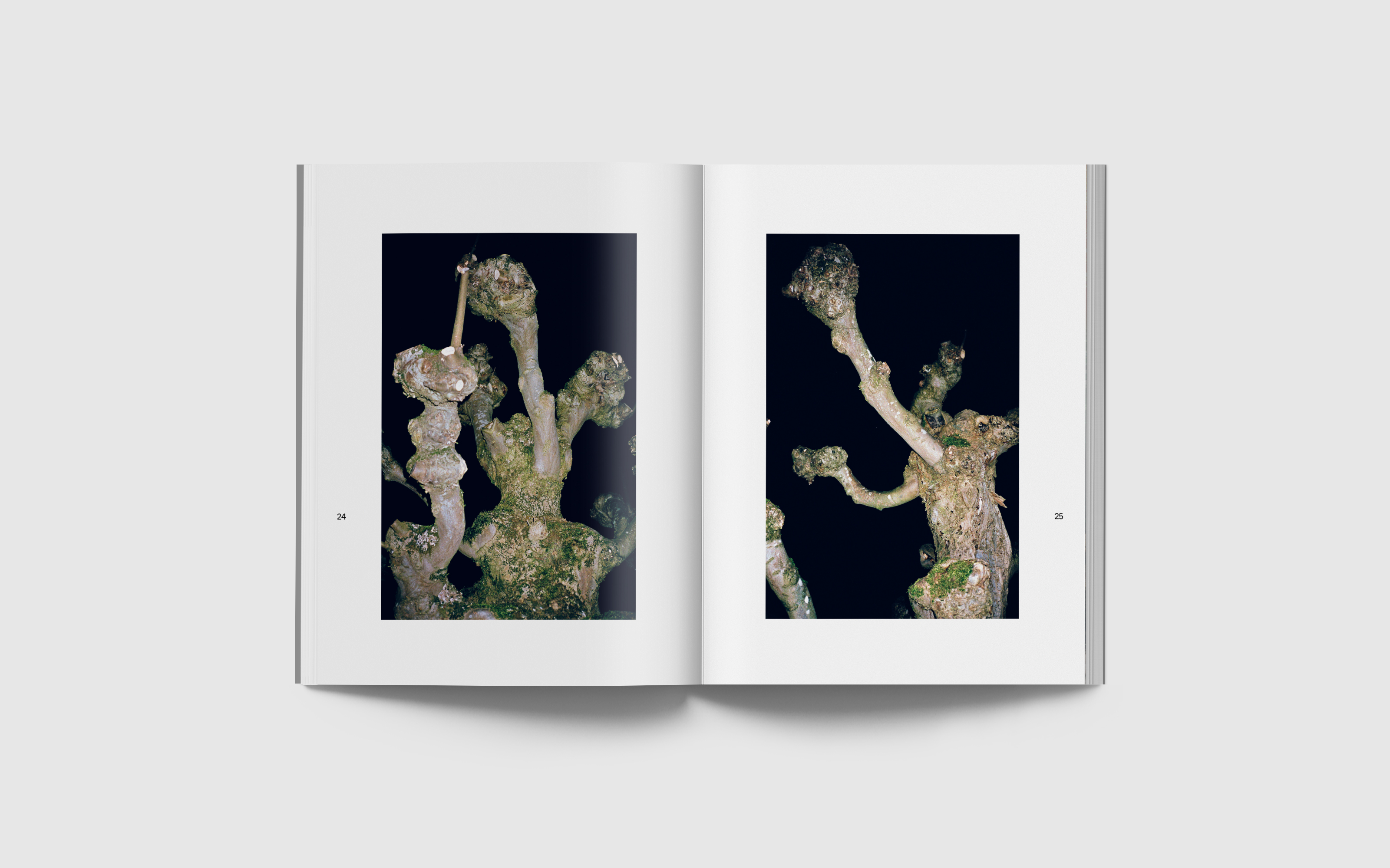 vincen beeckman Verso Recto 2025