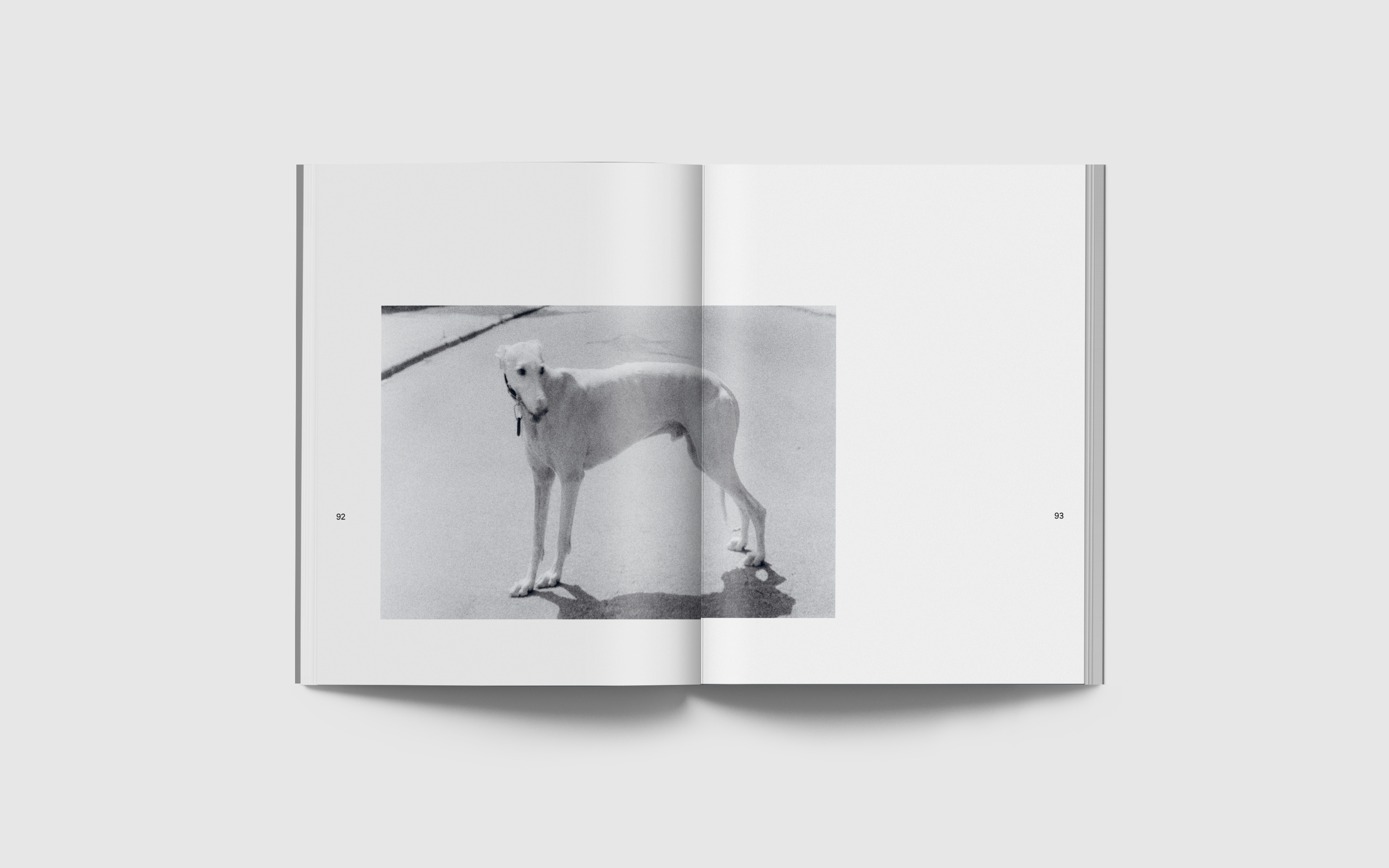 vincen beeckman Verso Recto 2025