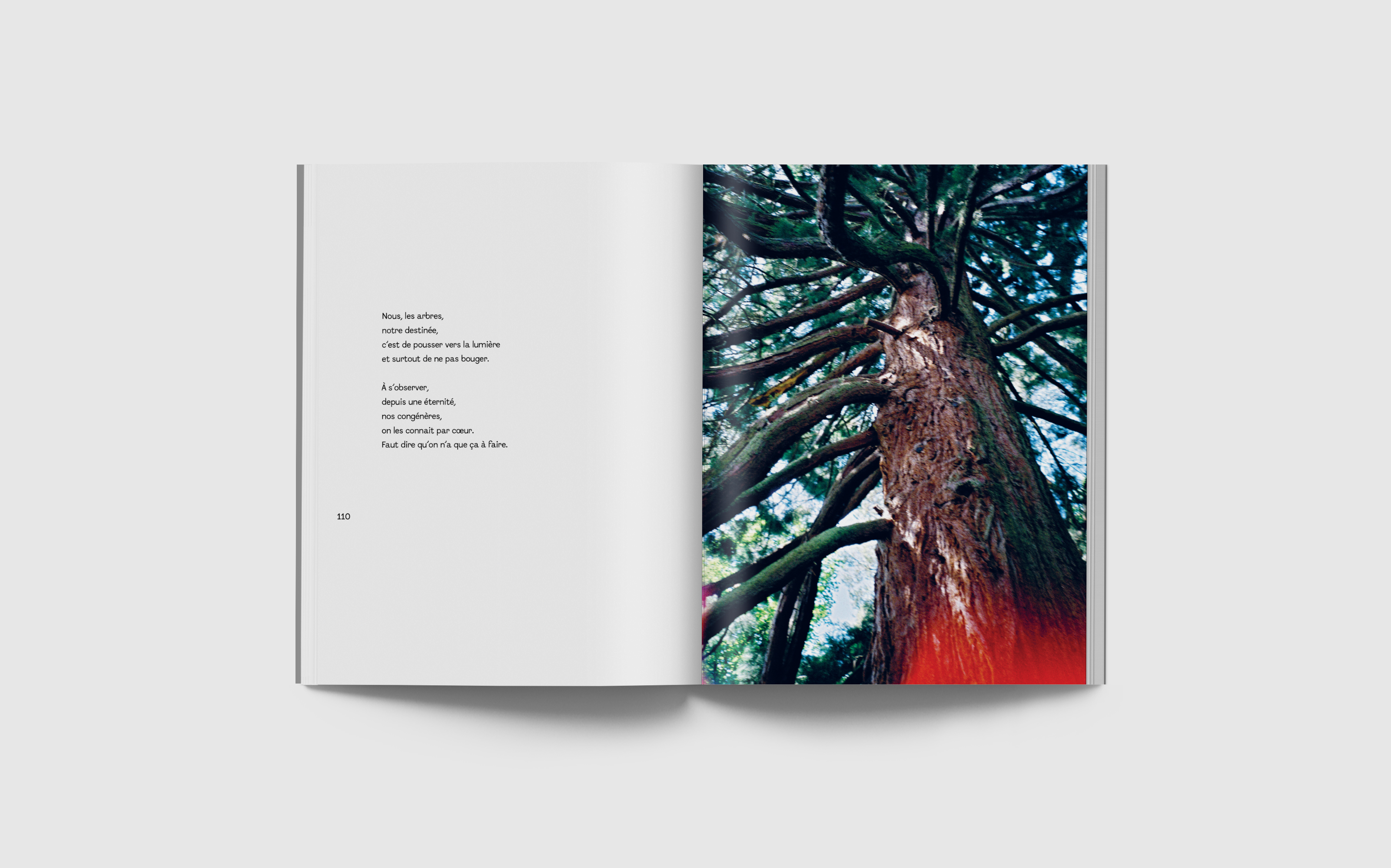 vincen beeckman Verso Recto 2025