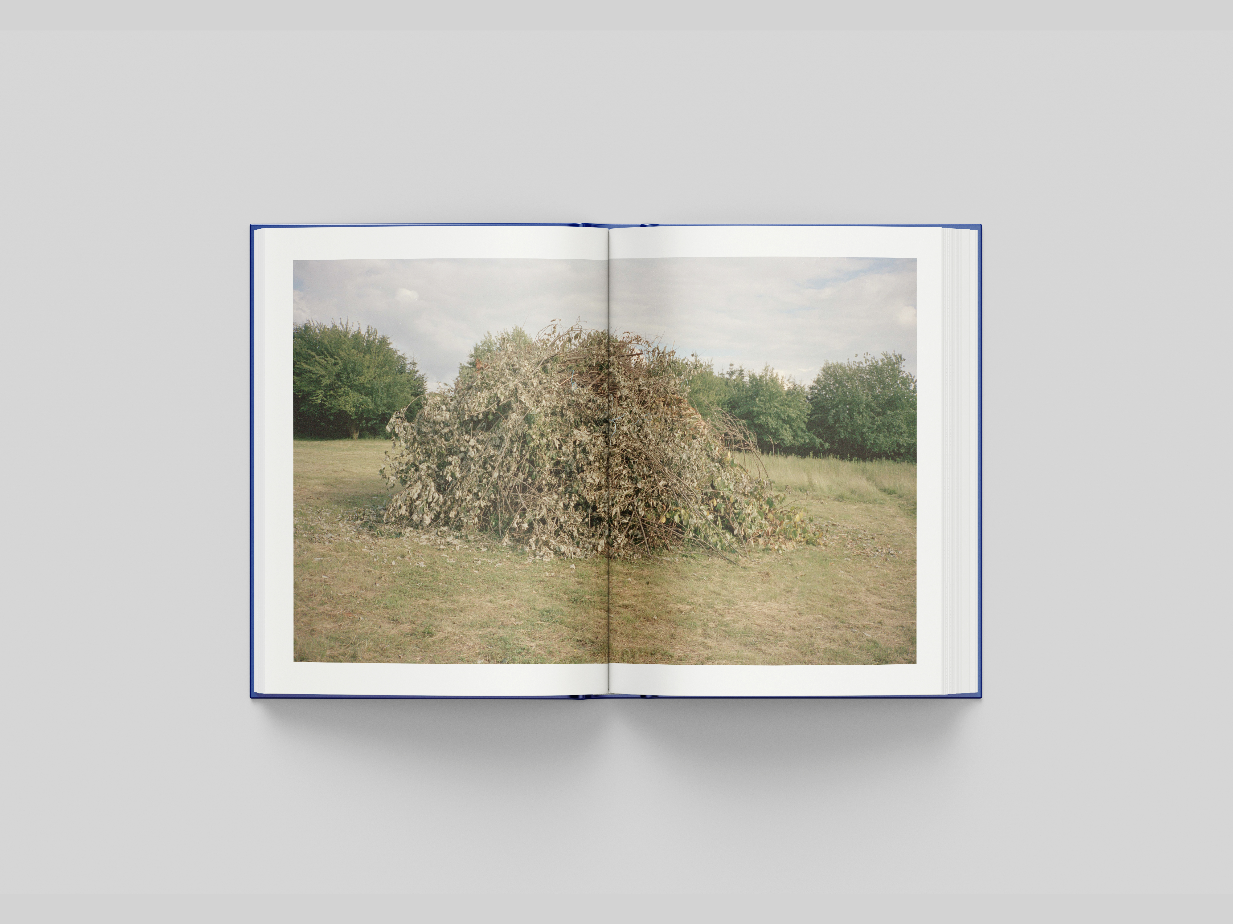 vincen beeckman la deviniere 2022