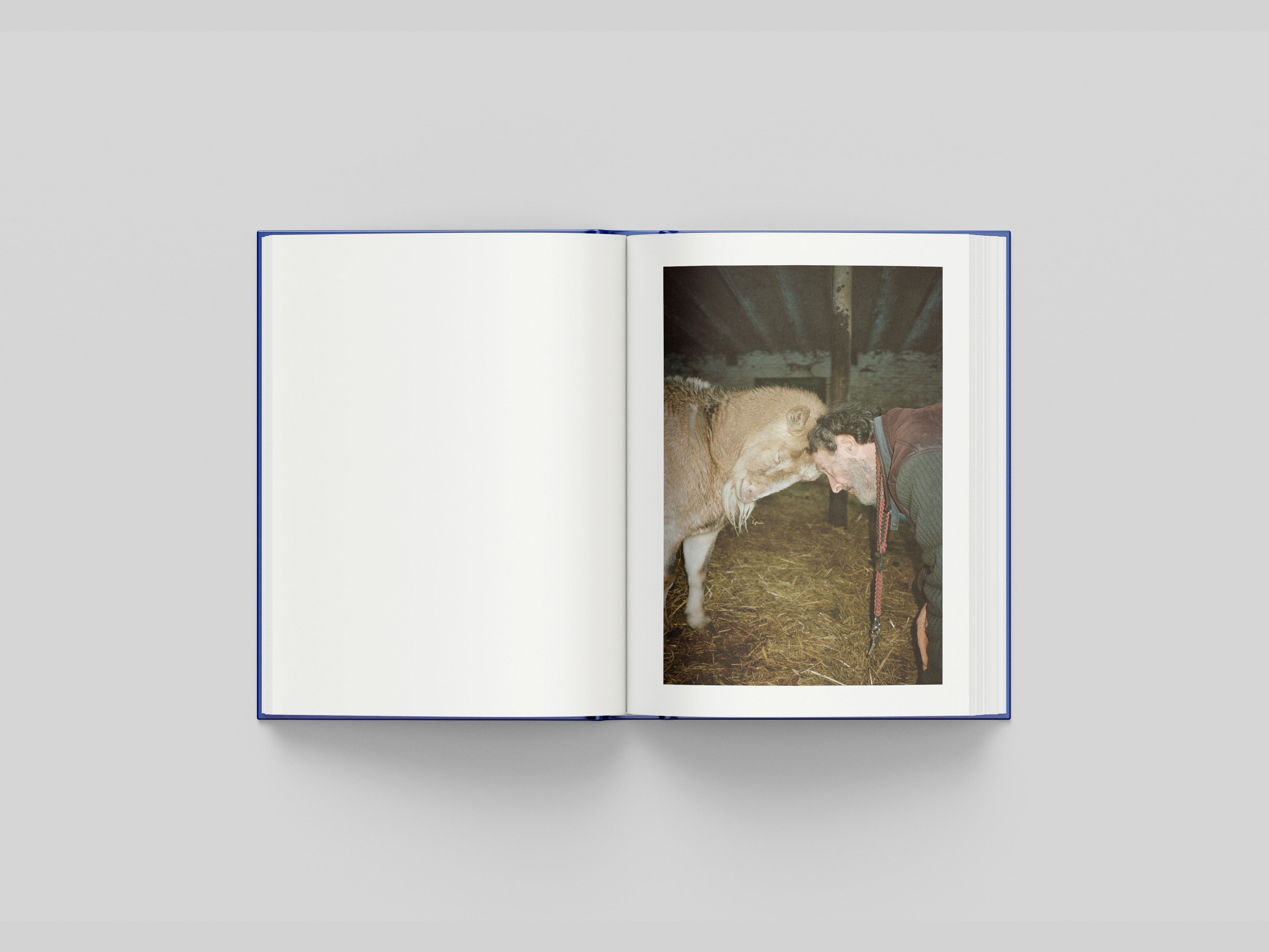 vincen beeckman la deviniere 2022