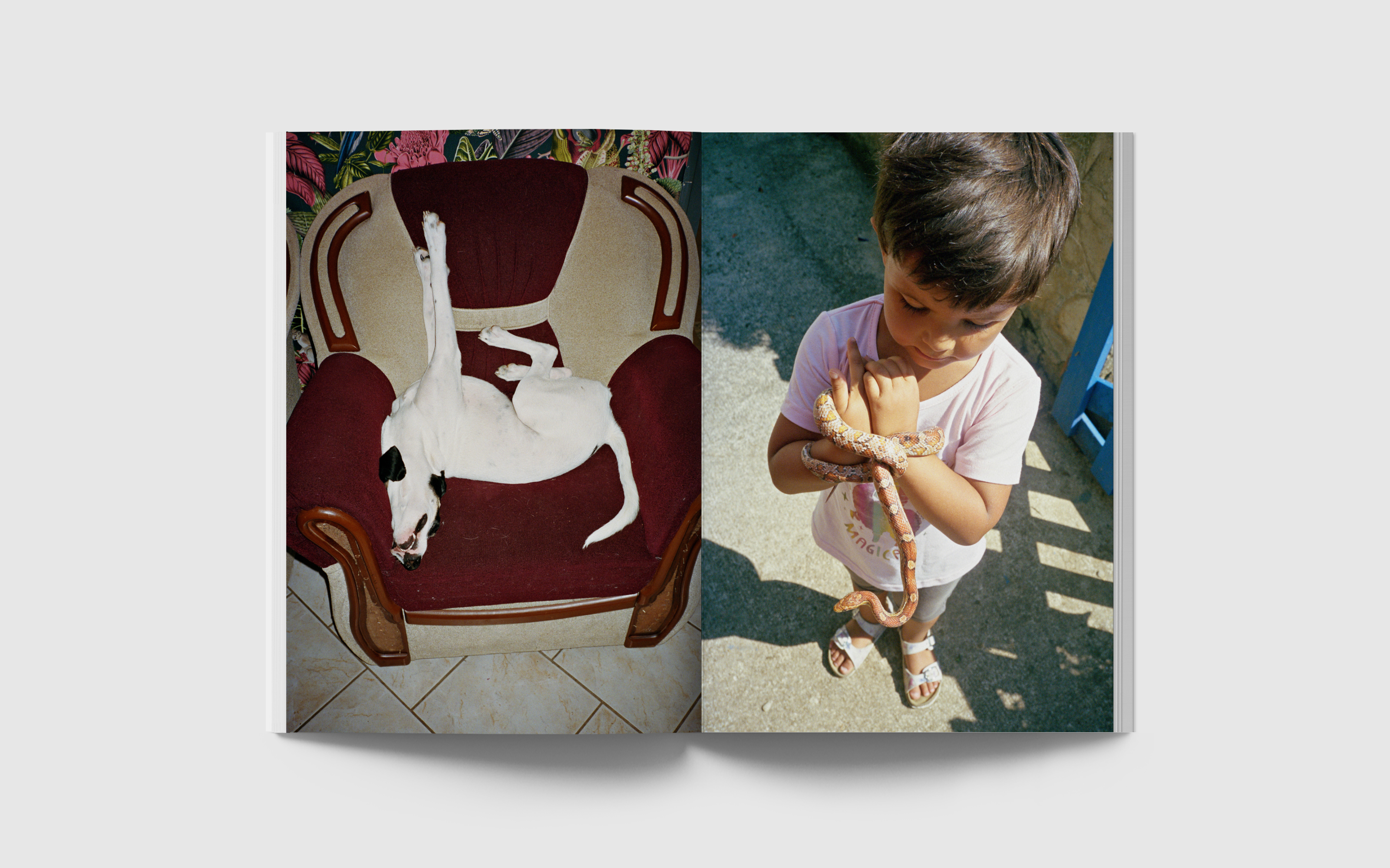 vincen beeckman pong-ping 2023